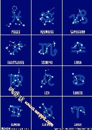 太极拳初学教程