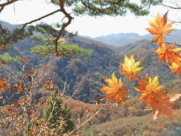 撩她入怀最新章节列表_撩她入怀全文免费阅读